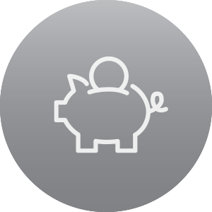 Savings Icon